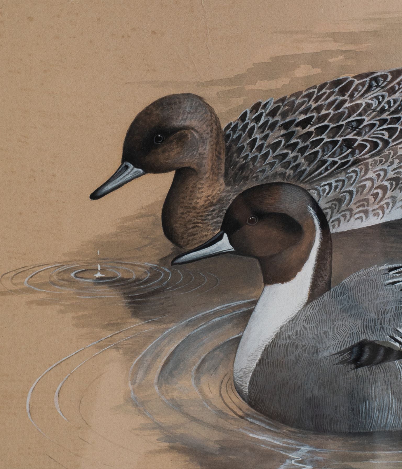 Original Watercolour of Pintail Ducks by Eric H. Peake, in Antique Oak Frame