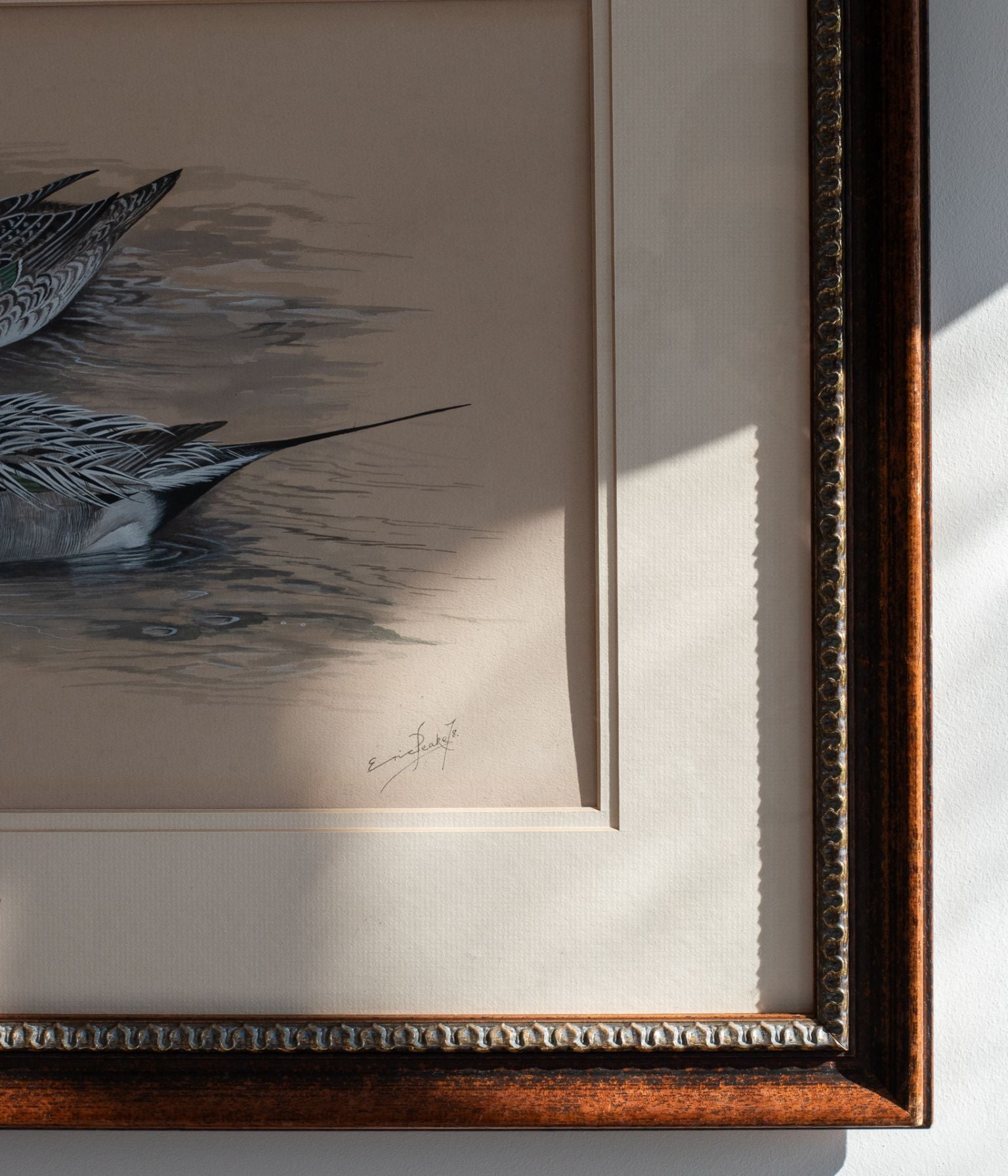 Original Watercolour of Pintail Ducks by Eric H. Peake, in Antique Oak Frame