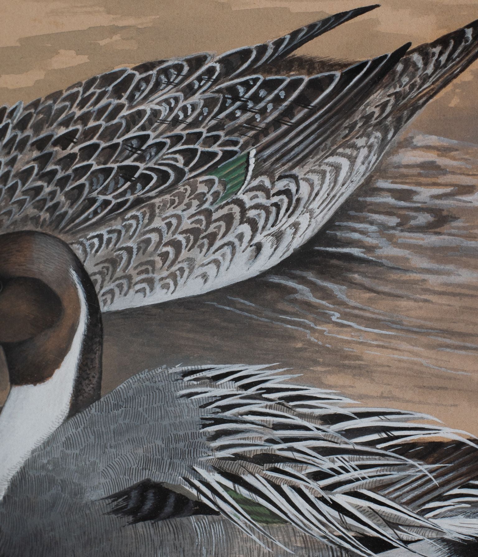 Original Watercolour of Pintail Ducks by Eric H. Peake, in Antique Oak Frame