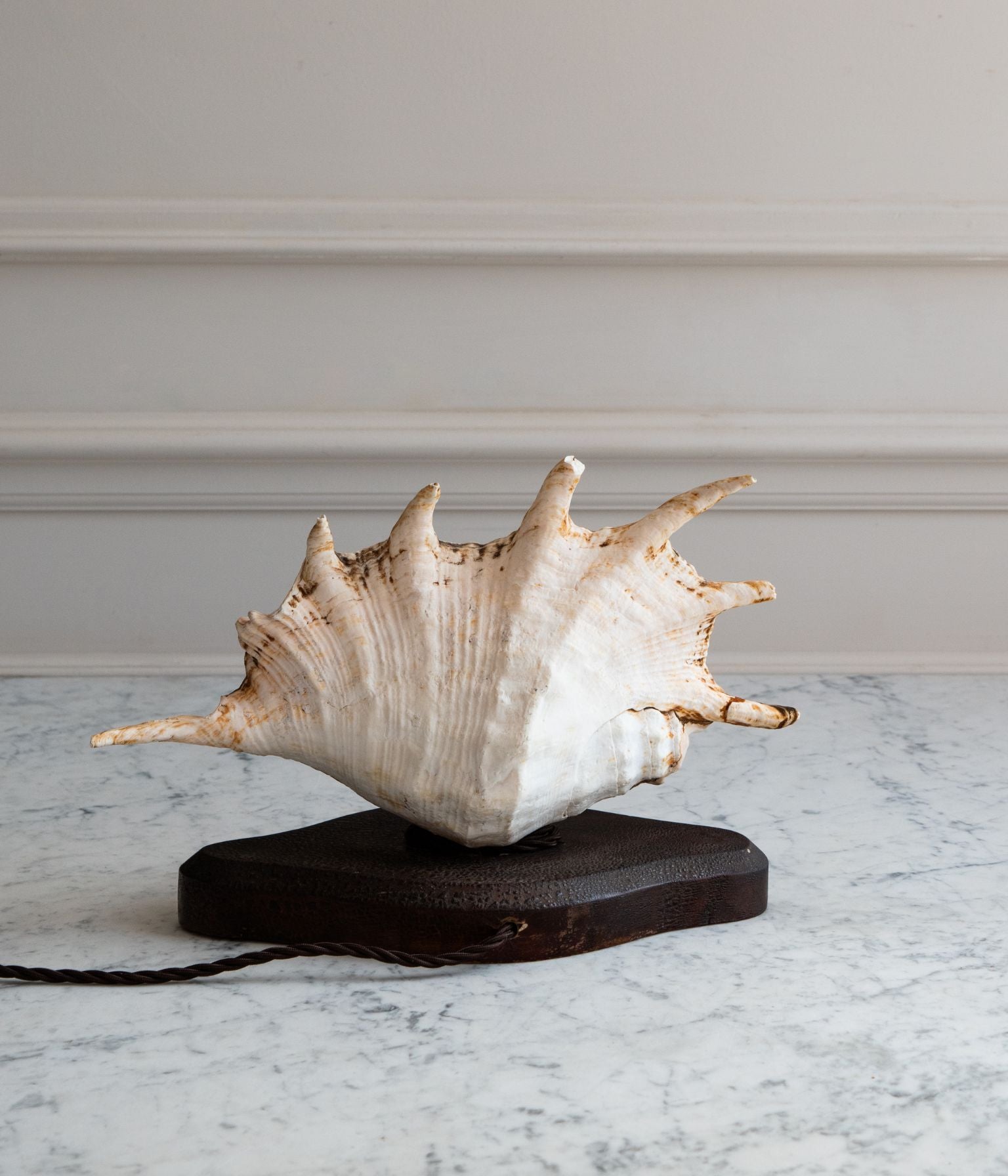 Vintage Conch Shell Table Lamp on Walnut Base