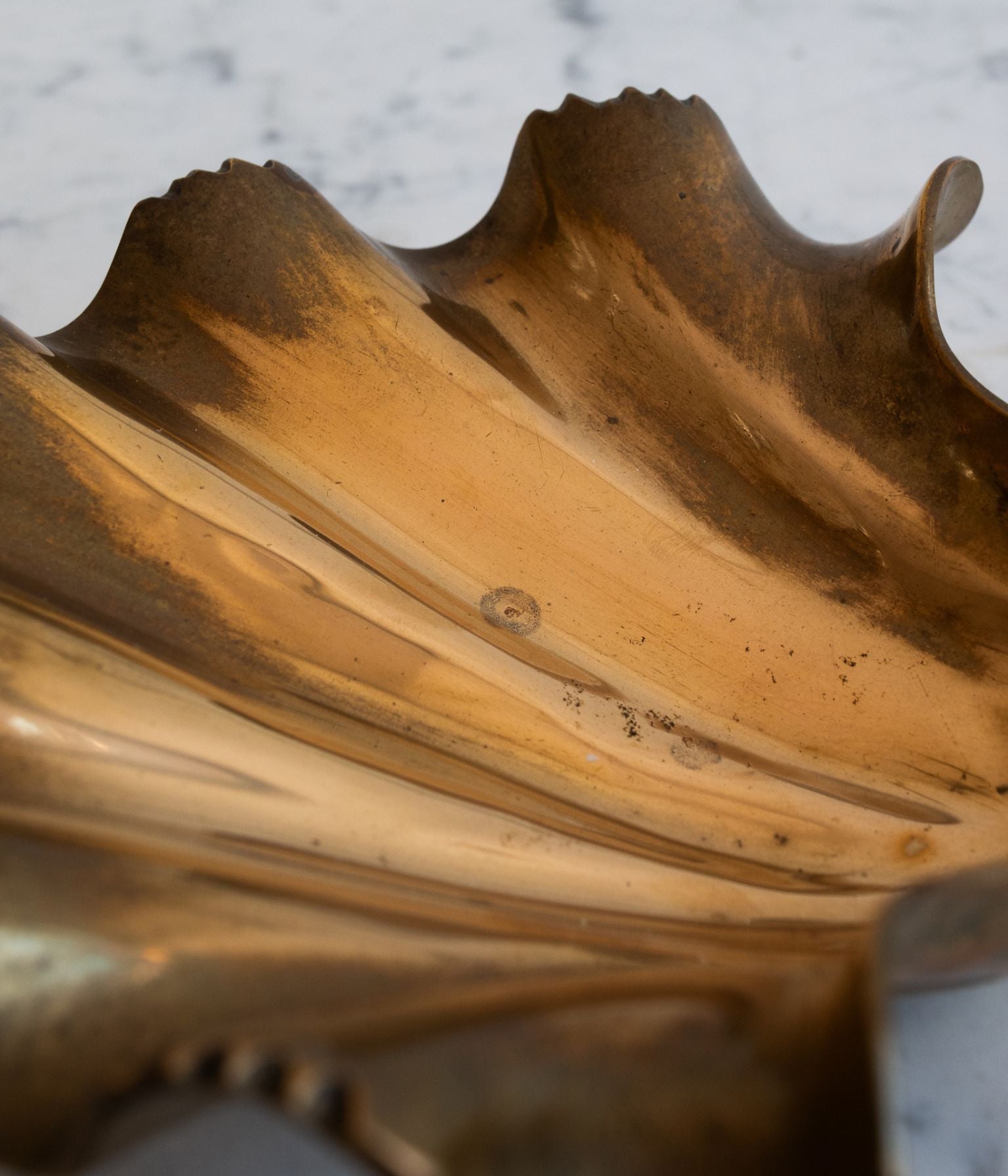 Pair of Vintage Brass Shell Dishes